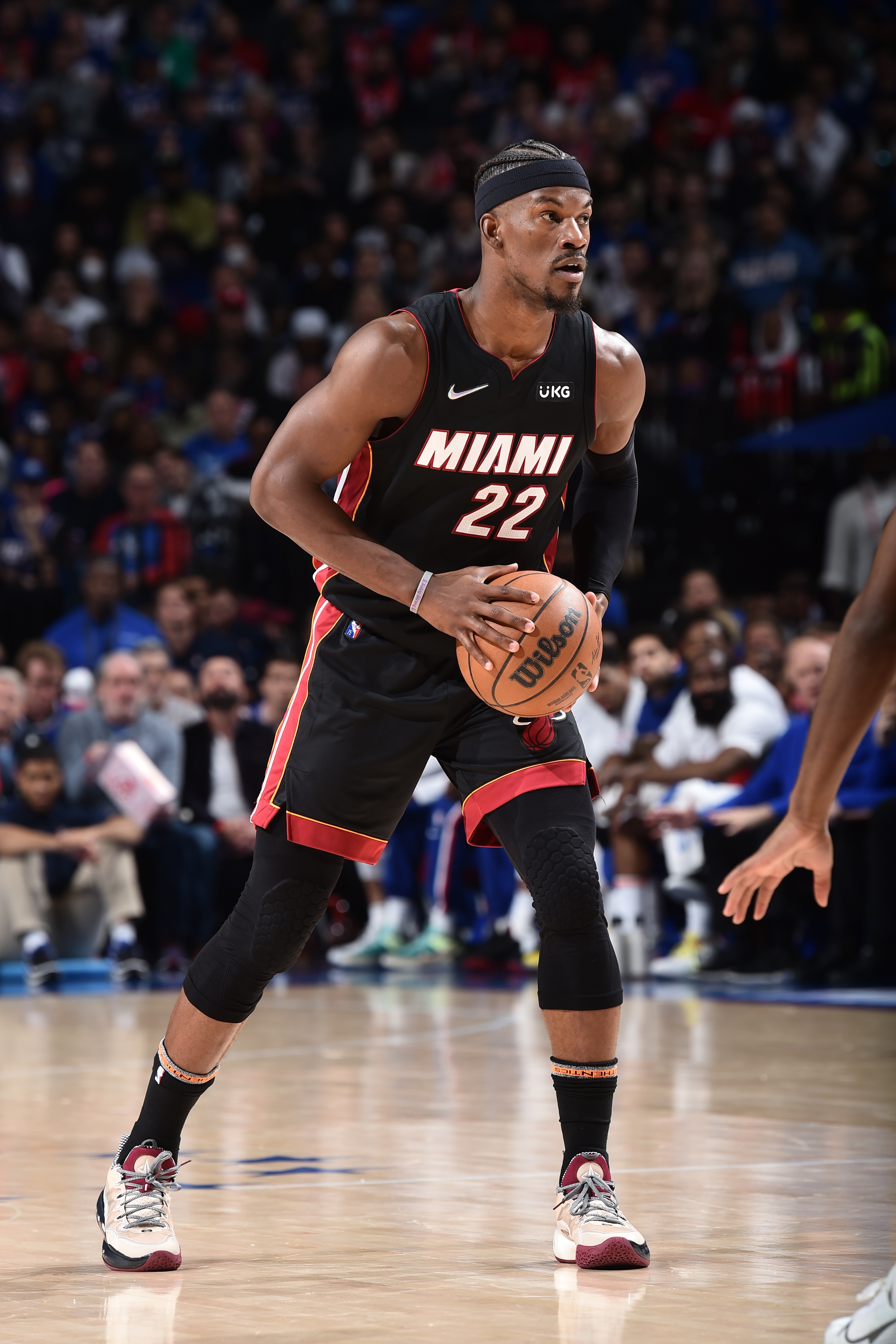 涯中不仅依 涯中不仅依